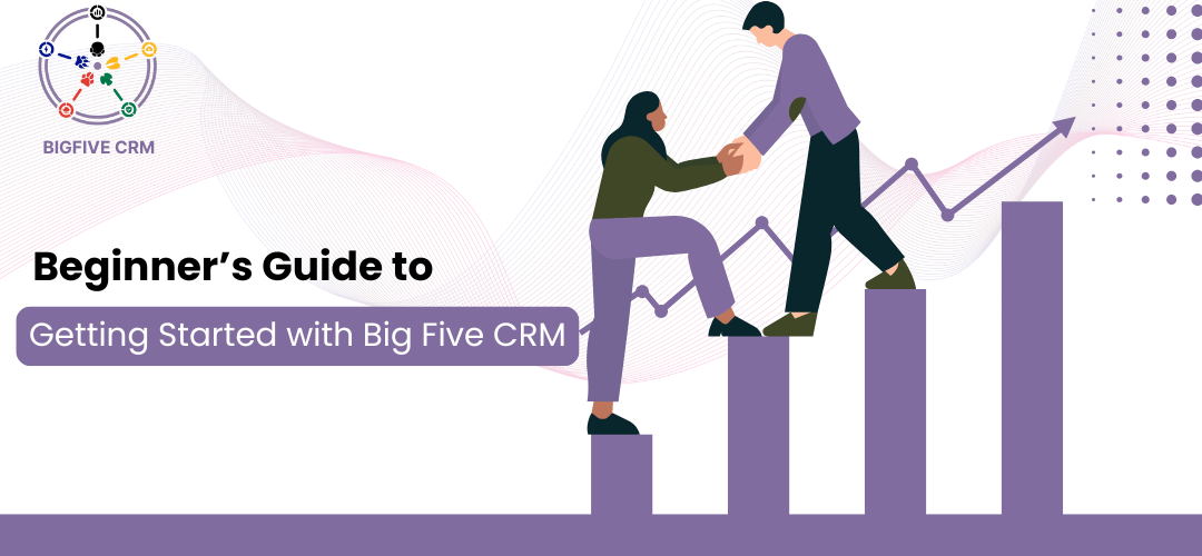 Big Five CRM beginner-friendly dashboard helping new users get started easily